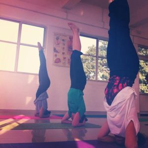 hatha yoga, hatha yoga den bosch, yoga, yoga den bosch