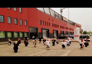 Shaolin Kung Fu, Shaolin kung fu den bosch, kung fu den bosch