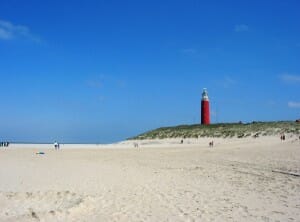 Texel