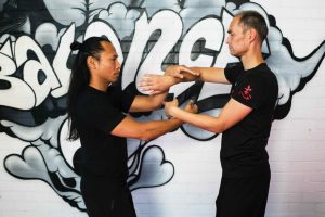 wing chun , wing chun den bosch, kung fu, kung fu den bosch