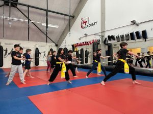 kung fu kinderen, Shaolin kung fu kinderen, kung fu  training den bosch kinderen